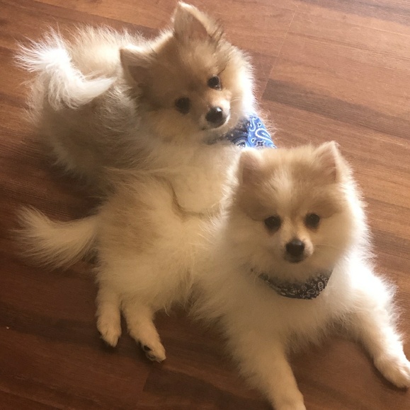 Meet your seller!!! - Picture 8 of 8